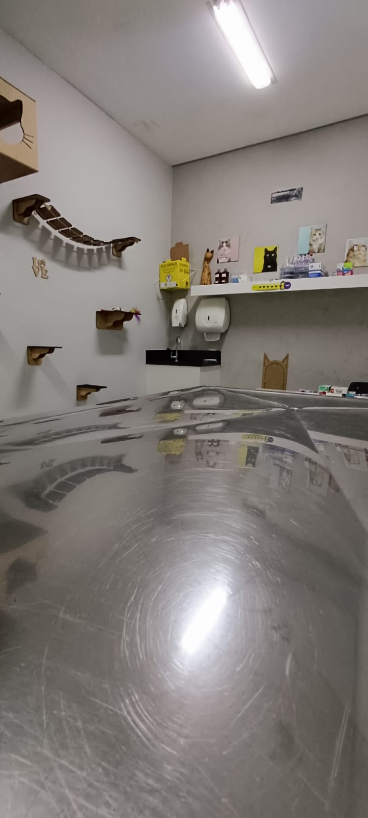 Sala de atendimento felino com enriquecimento ambiental