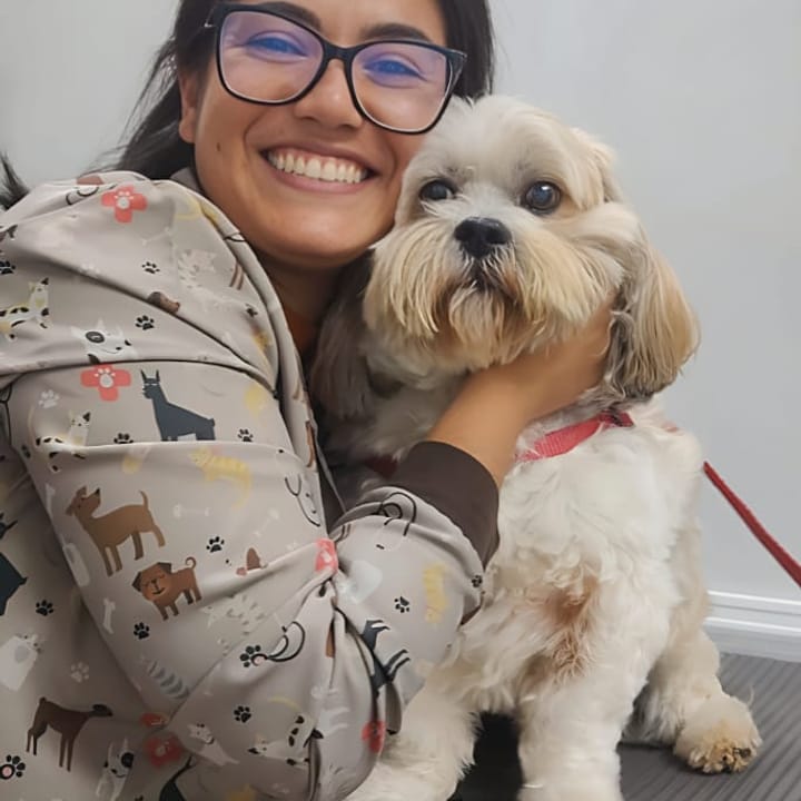 Veterinária da NovaVet abraçando um shih-tzu durante a consulta
