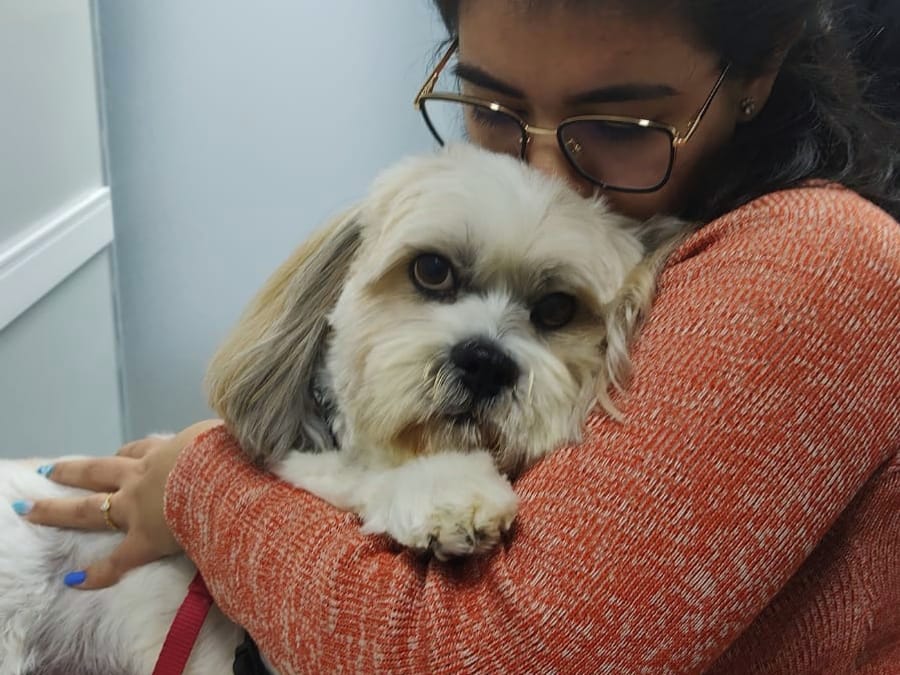 Tutora abraçando seu cão durante o atendimento acolhedor na NovaVet